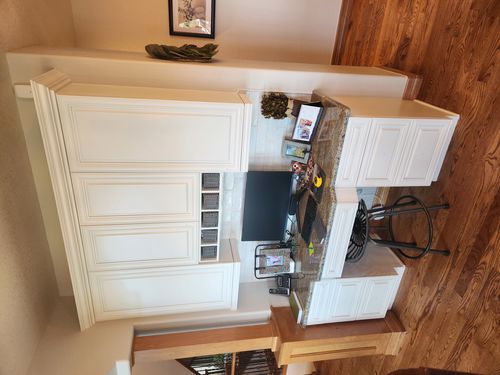Wild Fox Painting Cabinets project