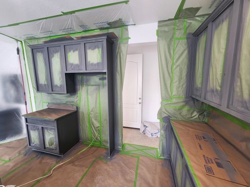 Wild Fox Painting Cabinets project