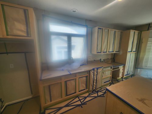 Wild Fox Painting Cabinets project