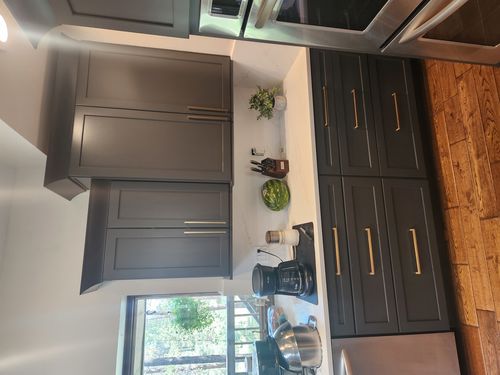 Wild Fox Painting Cabinets project