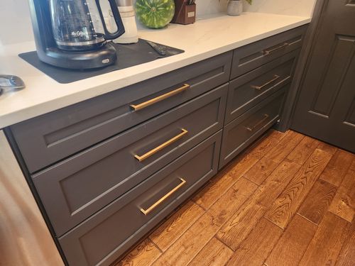 Wild Fox Painting Cabinets project