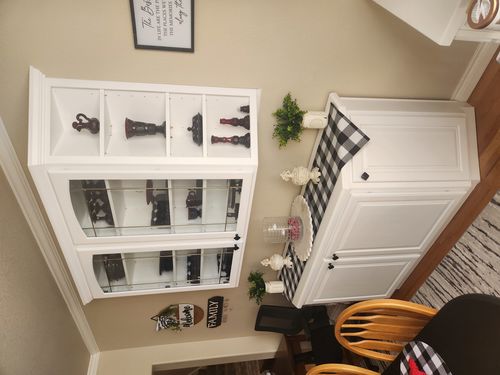 Wild Fox Painting Cabinets project