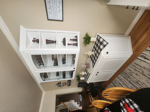 Wild Fox Painting Cabinets project