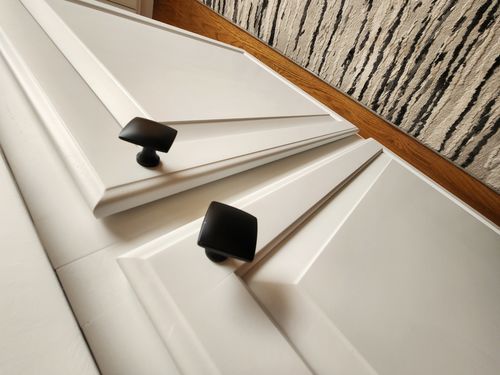 Wild Fox Painting Cabinets project