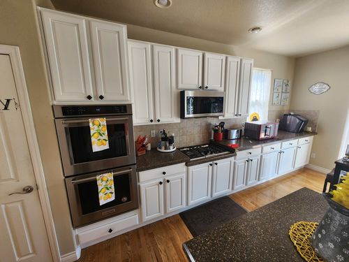 Wild Fox Painting Cabinets project
