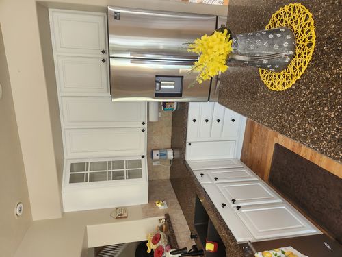 Wild Fox Painting Cabinets project