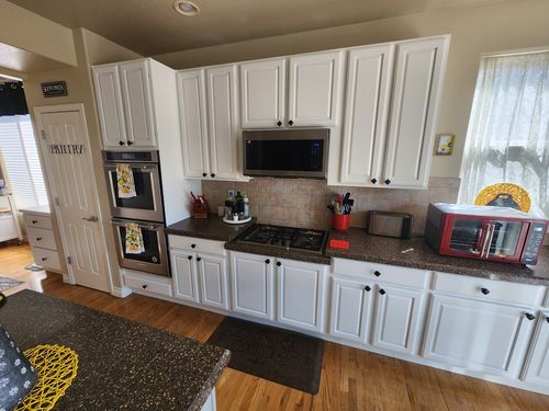 Wild Fox Painting Cabinets project
