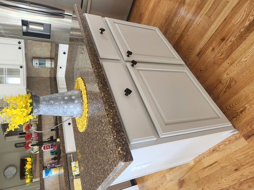 Wild Fox Painting Cabinets project