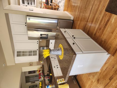 Wild Fox Painting Cabinets project