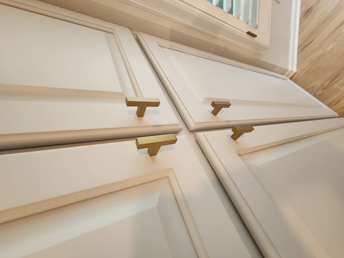 Wild Fox Painting Cabinets project