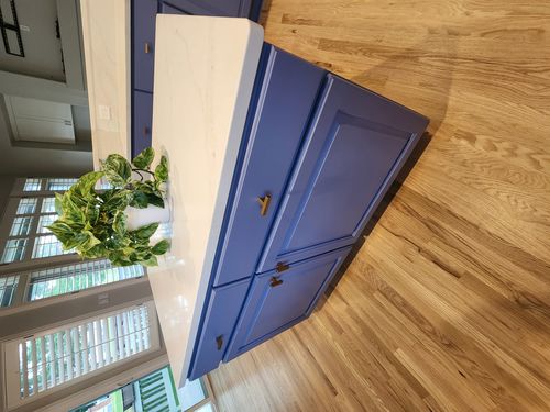 Wild Fox Painting Cabinets project