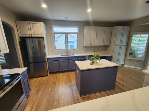 Wild Fox Painting Cabinets project