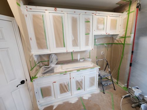Wild Fox Painting Cabinets project