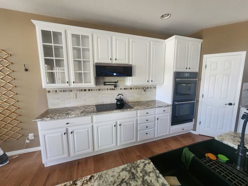 Wild Fox Painting Cabinets project