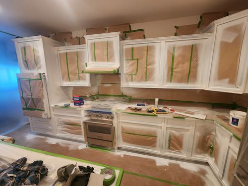Wild Fox Painting Cabinets project