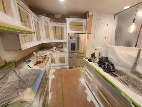Wild Fox Painting Cabinets project