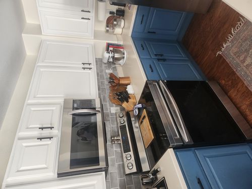 Wild Fox Painting Cabinets project