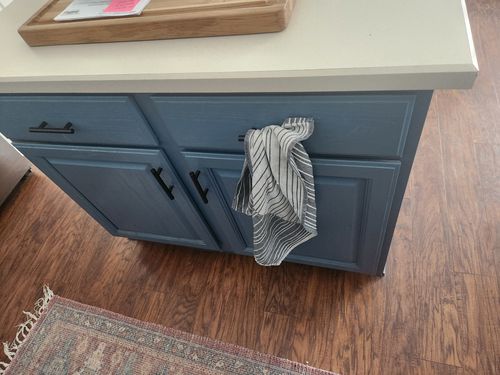 Wild Fox Painting Cabinets project