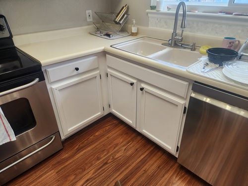 Wild Fox Painting Cabinets project