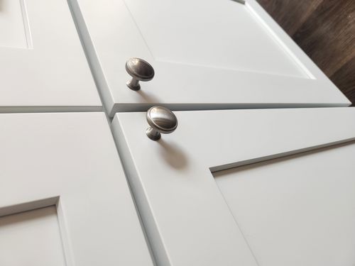 Wild Fox Painting Cabinets project