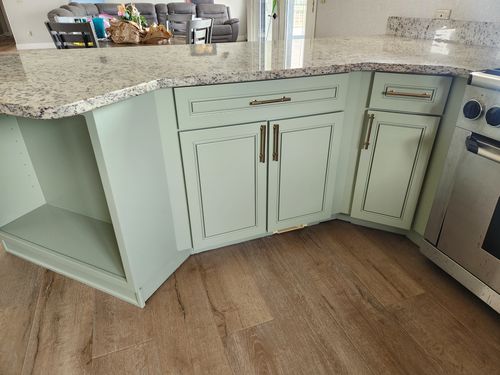 Wild Fox Painting Cabinets project