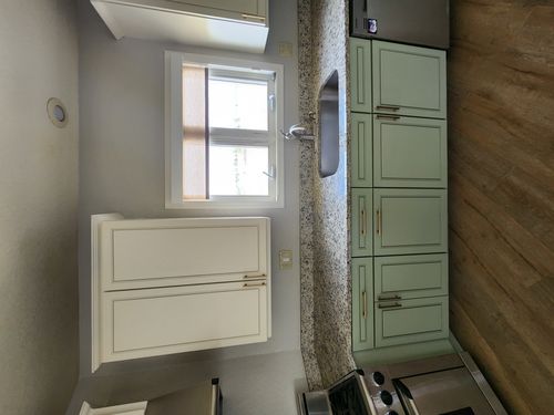 Wild Fox Painting Cabinets project