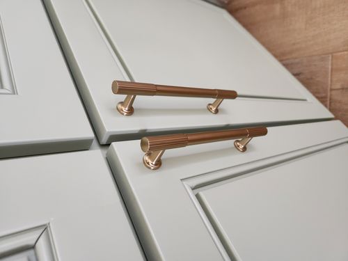 Wild Fox Painting Cabinets project
