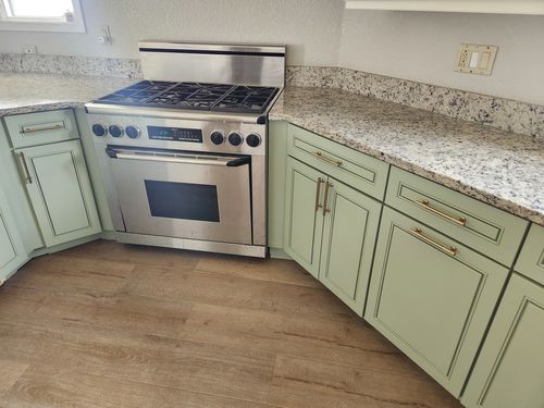 Wild Fox Painting Cabinets project