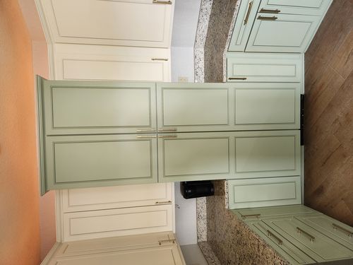 Wild Fox Painting Cabinets project