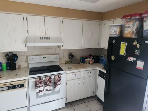 Wild Fox Painting Cabinets project