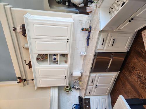 Wild Fox Painting Cabinets project