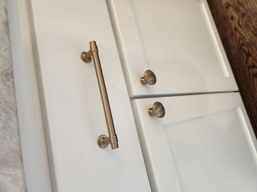 Wild Fox Painting Cabinets project