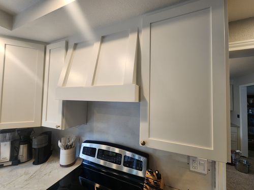 Wild Fox Painting Cabinets project