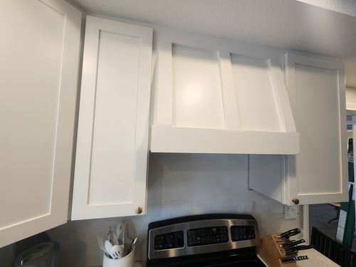 Wild Fox Painting Cabinets project