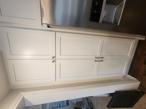 Wild Fox Painting Cabinets project