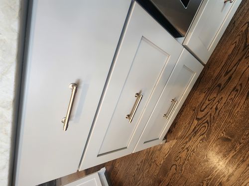 Wild Fox Painting Cabinets project