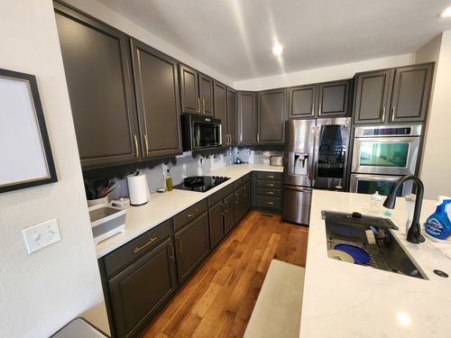 Wild Fox Painting Cabinets project
