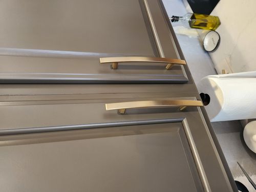 Wild Fox Painting Cabinets project