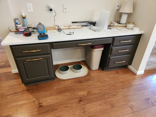 Wild Fox Painting Cabinets project