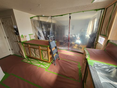 Wild Fox Painting Cabinets project