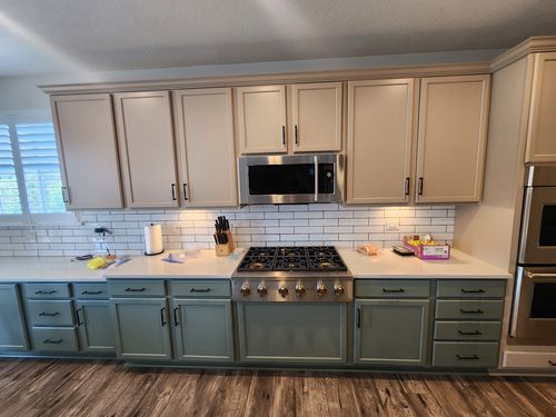 Wild Fox Painting Cabinets project
