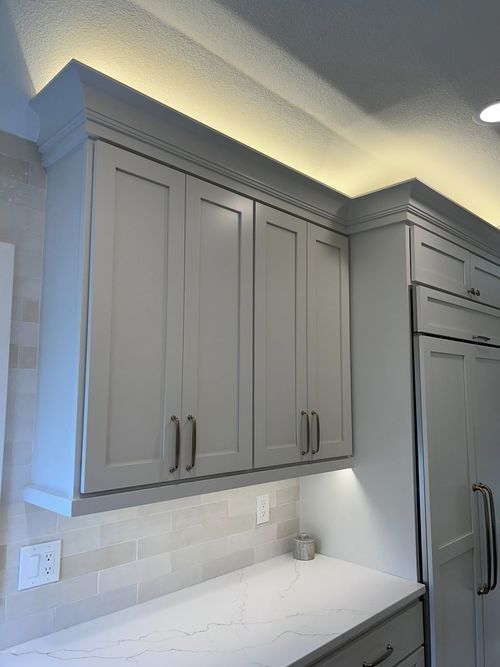 Wild Fox Painting Cabinets project