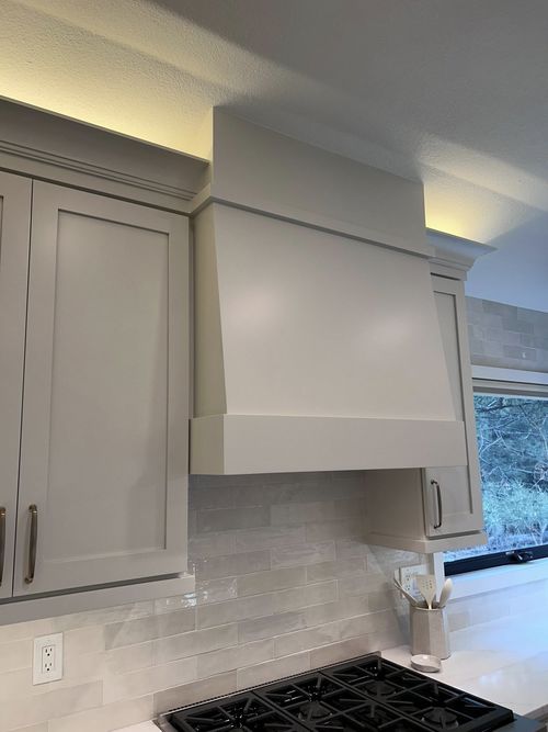 Wild Fox Painting Cabinets project