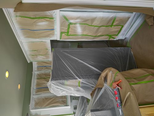Wild Fox Painting Cabinets project