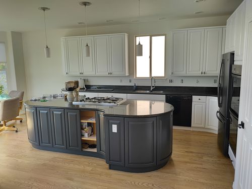 Wild Fox Painting Cabinets project