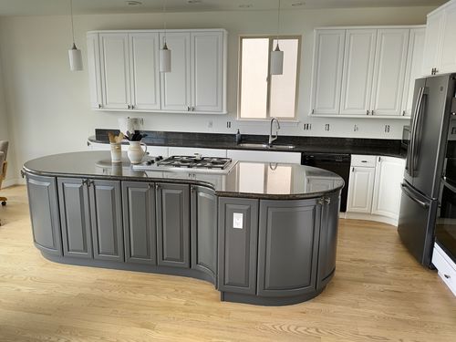 Wild Fox Painting Cabinets project