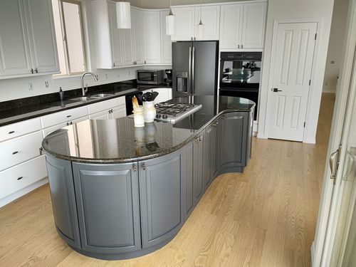 Wild Fox Painting Cabinets project
