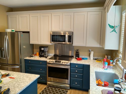 Wild Fox Painting Cabinets project