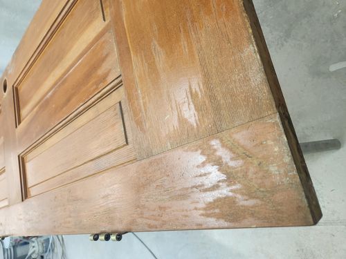 Wild Fox Painting Doors project