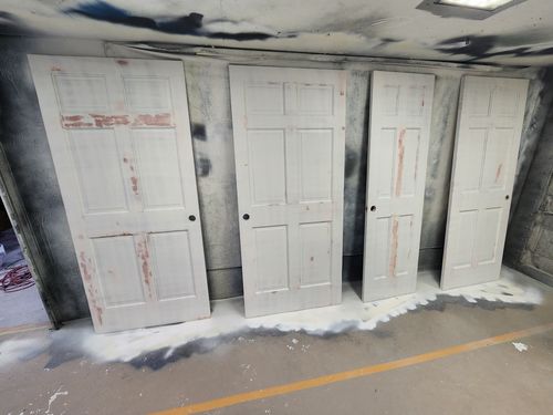 Wild Fox Painting Doors project